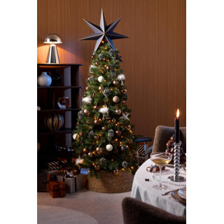 Top 10 kerstbomen