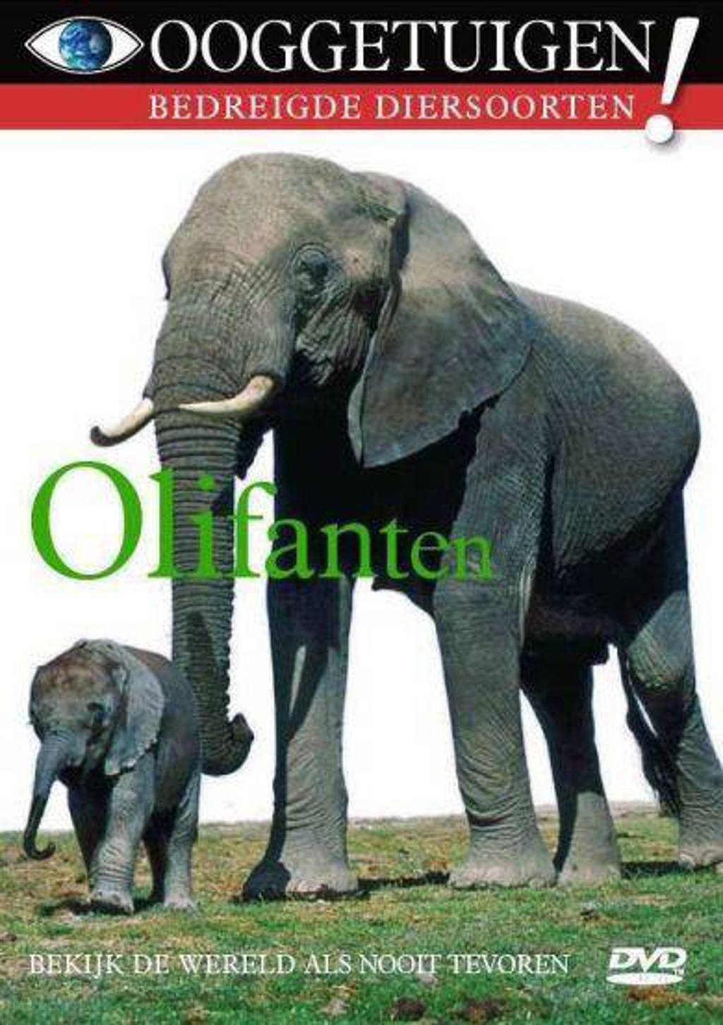 Ooggetuigen - olifanten (DVD)