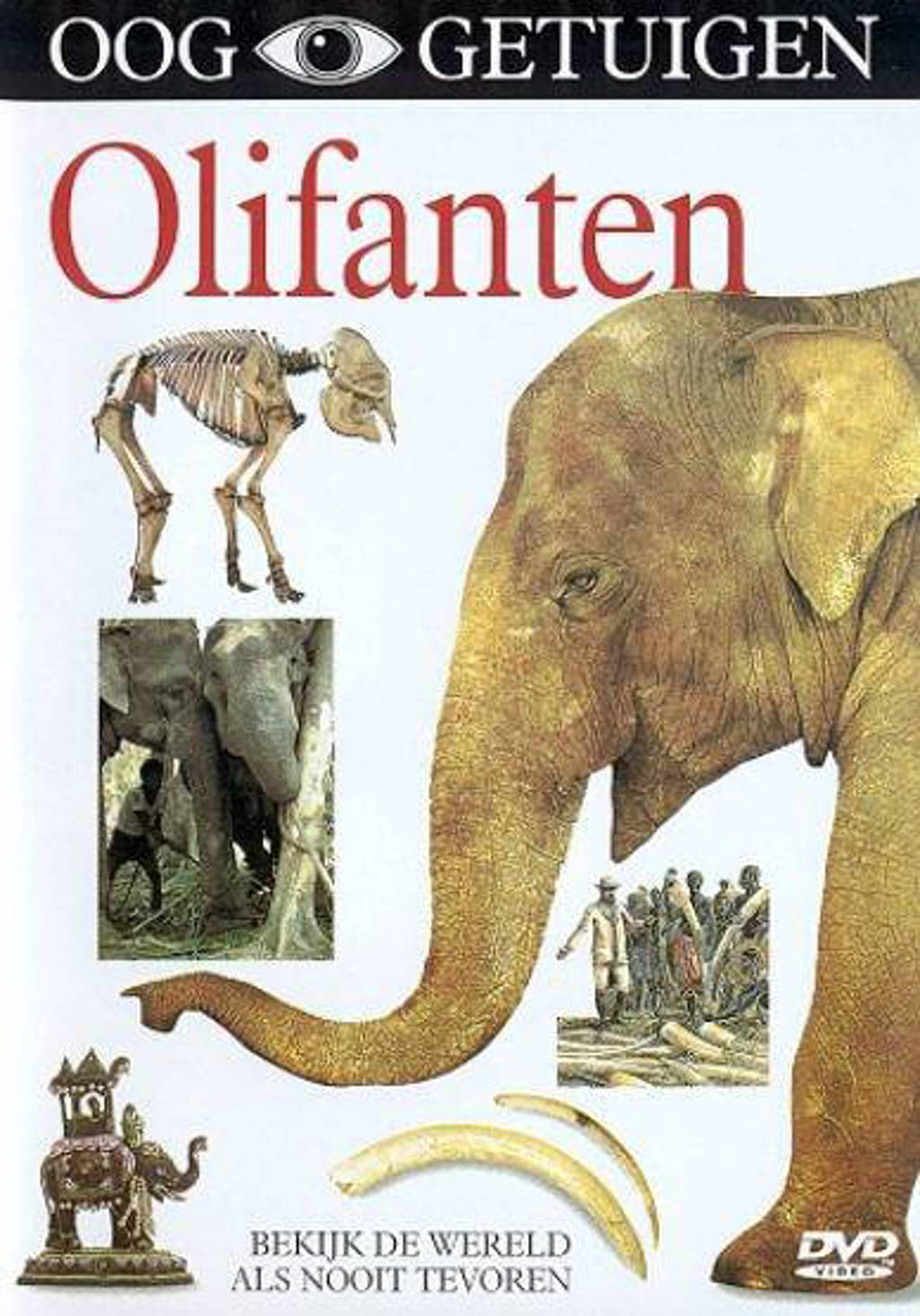 Ooggetuigen - olifanten (DVD)