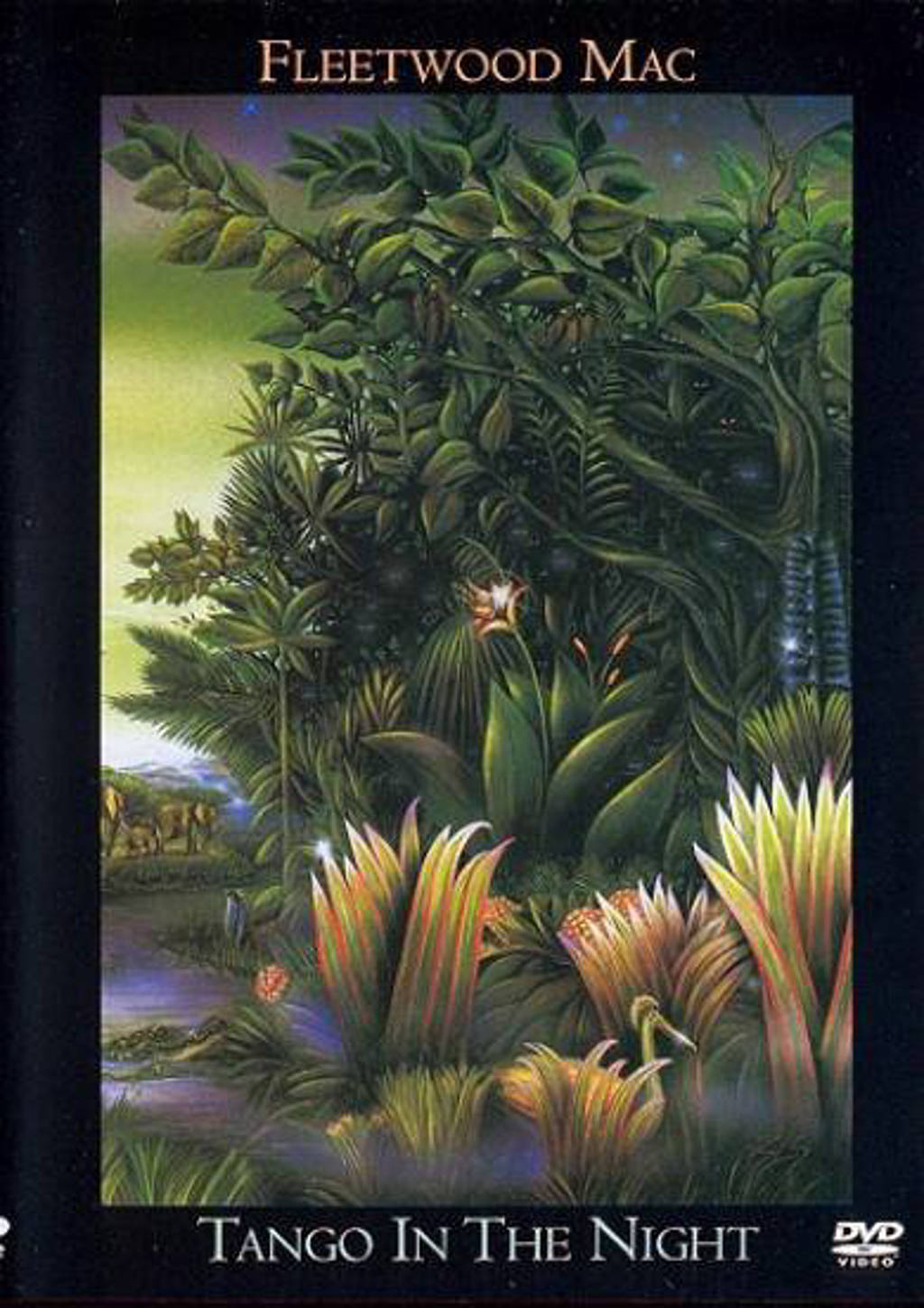 Fleetwood Mac - Tango in the Night (DVD)