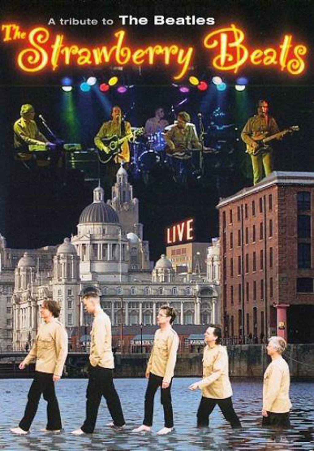 Strawberry beats - tribute to the Beatles (DVD)