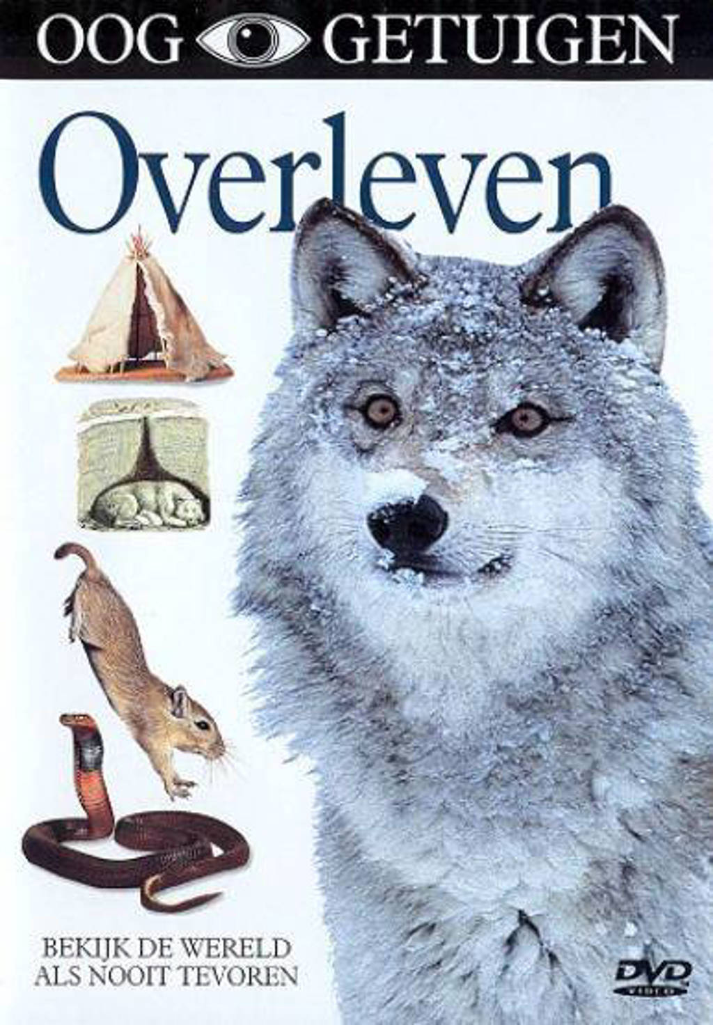 Ooggetuigen - overleven (DVD)