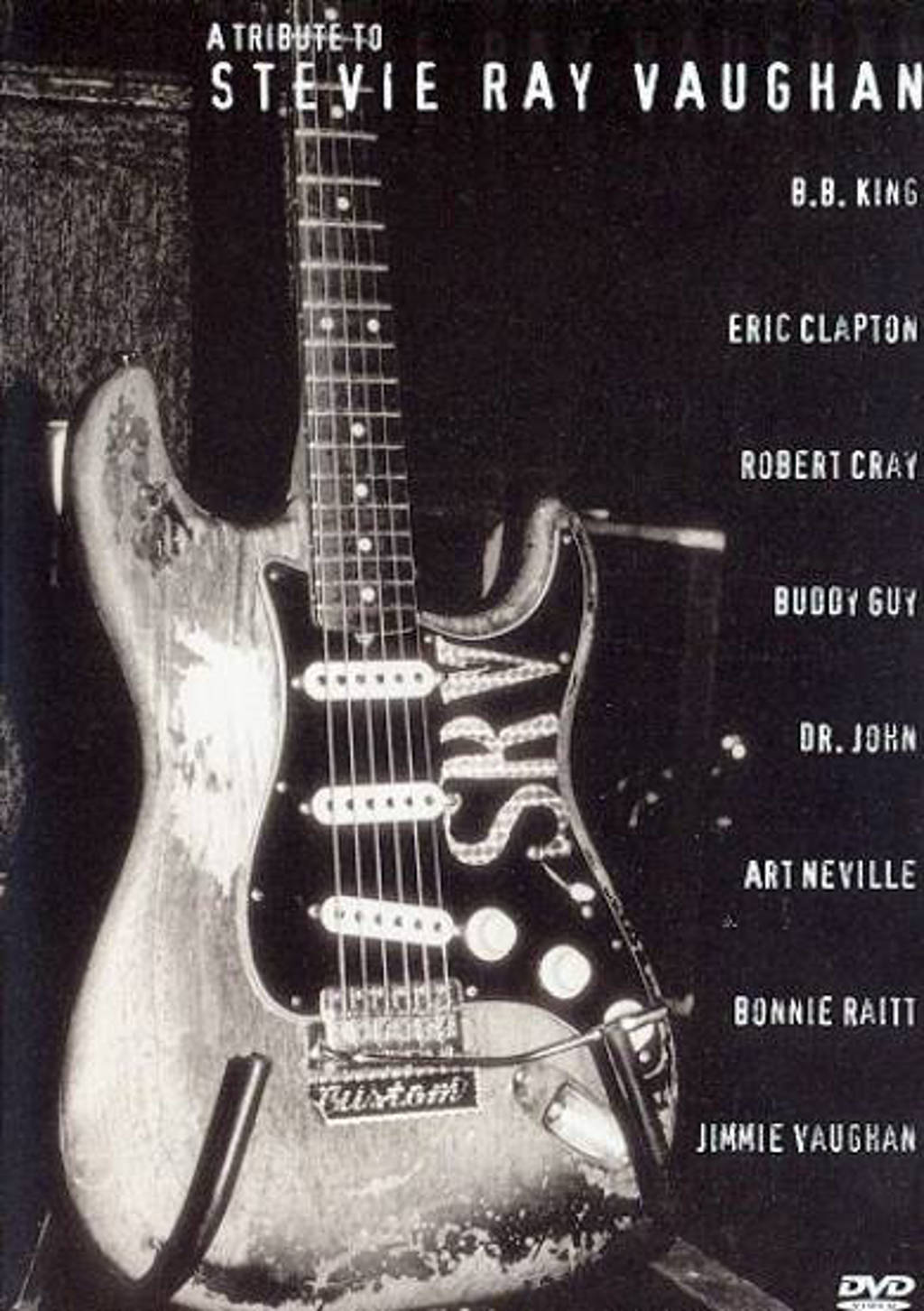 Stevie Ray Vaughan - tribute to (DVD)
