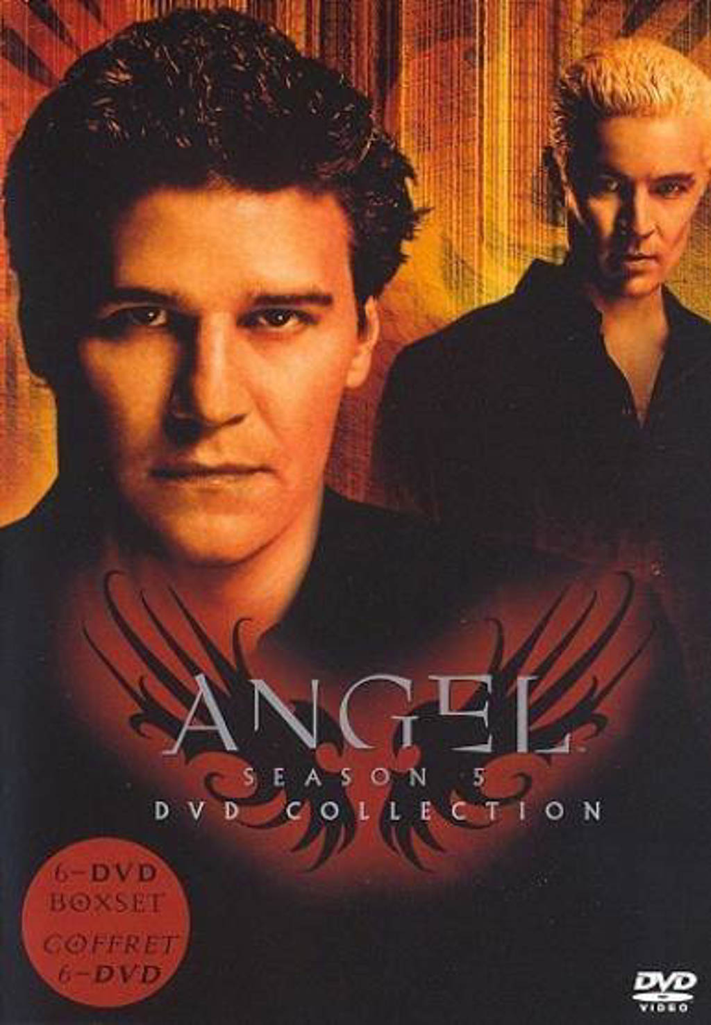 Angel - Seizoen 5 (DVD)