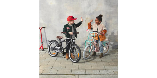 Fiets advies