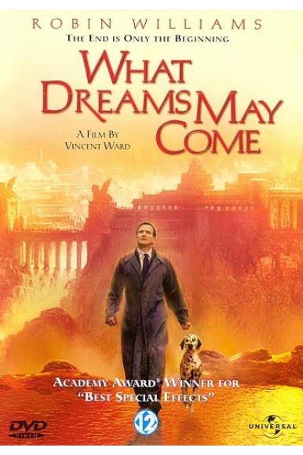 What Dreams May Come (DVD) wehkamp