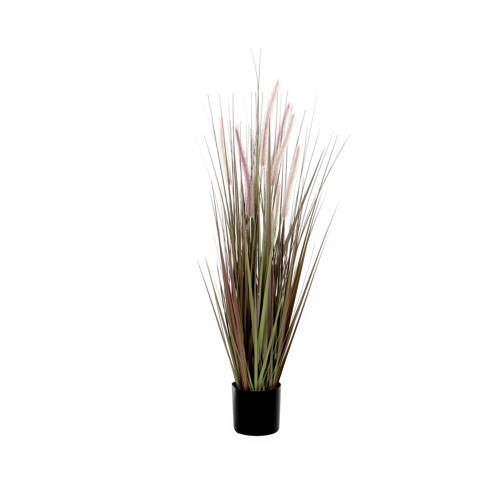 Mica Kunstgras Dogtail H90 Cm mica kopen in de aanbieding Mica Kunstgras Dogtail H90 Cm mica kopen in de aanbieding