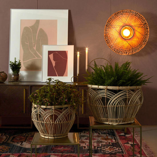 Welke woonaccessoires passen bij de botanische stijl?