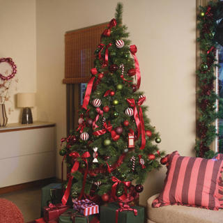 welke kerstboom past bij jou?