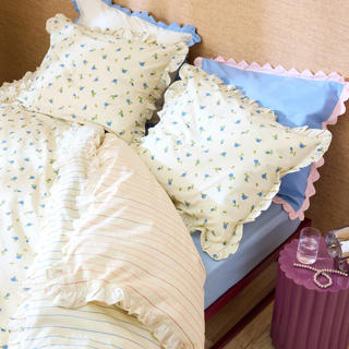 capsule collectie