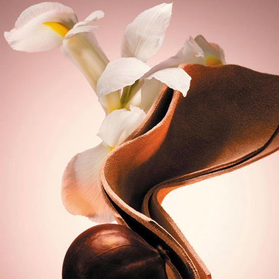 natuurlijke remedies tegen roos