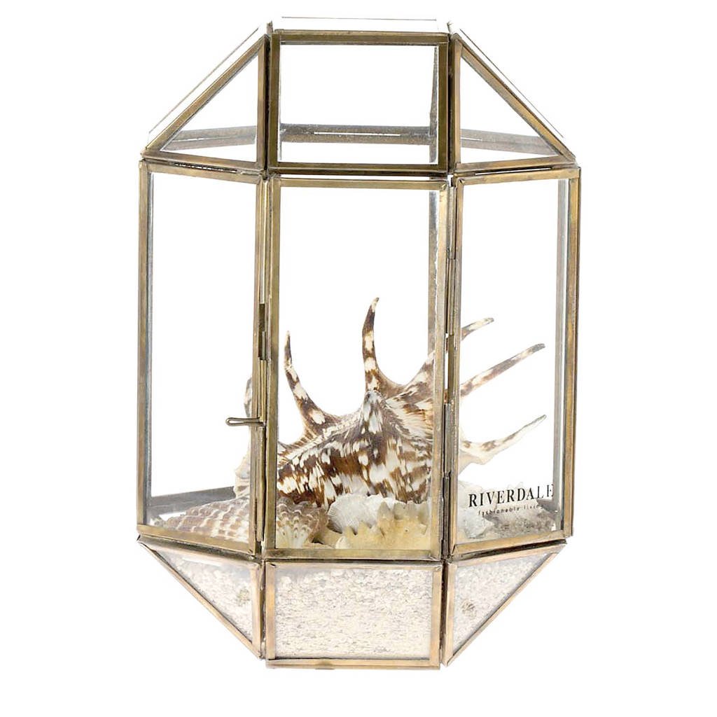 Riverdale displaybox, goud/transparant