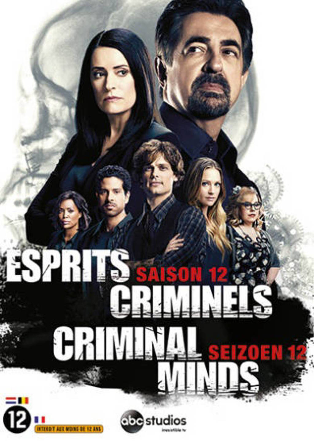 Criminal minds - Seizoen 12 (DVD)