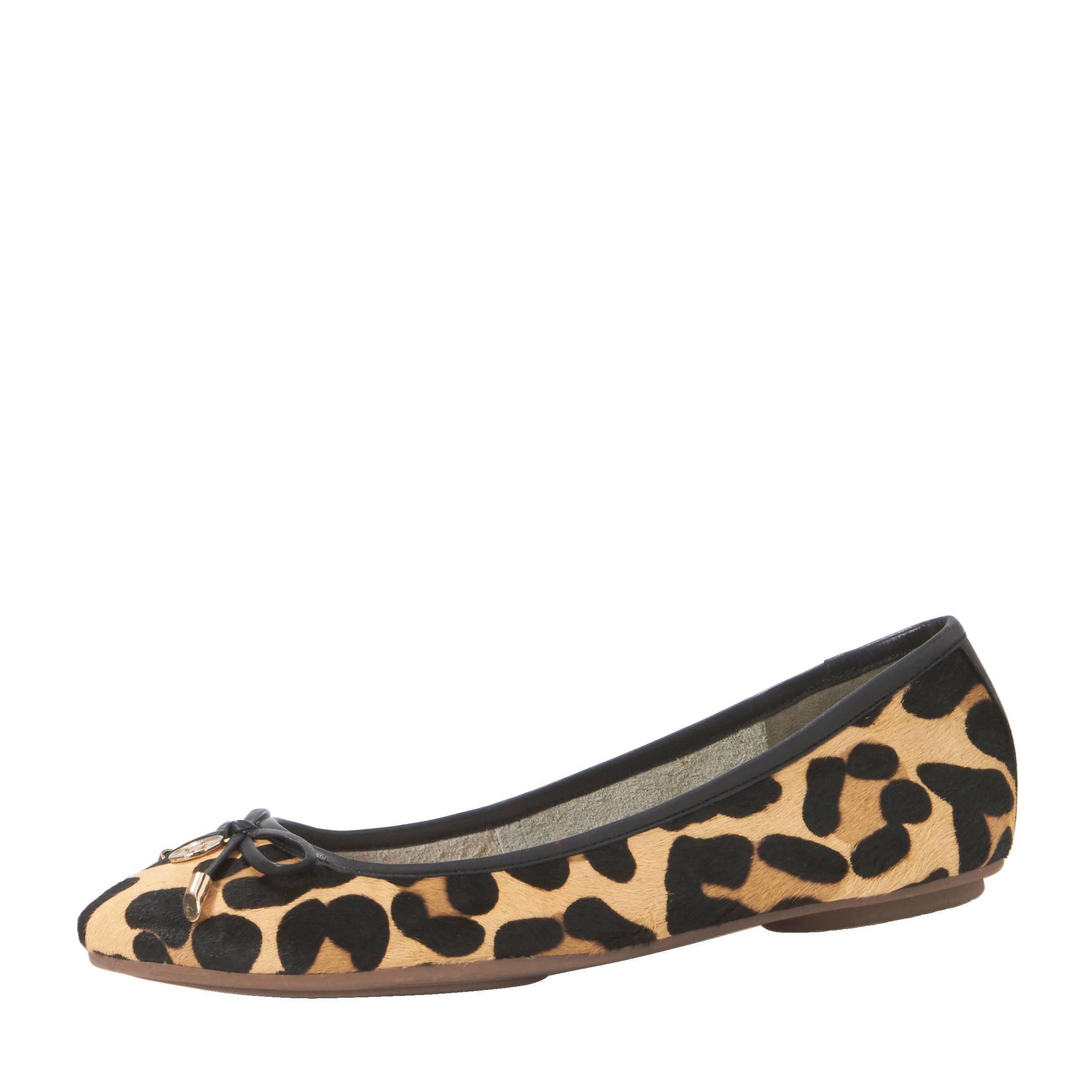Dune London Hardy leren ballerina's met luipaardprint | wehkamp