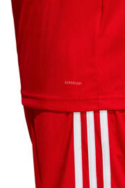 thumbnail: adidas Performance senior voetbalshirt rood/wit