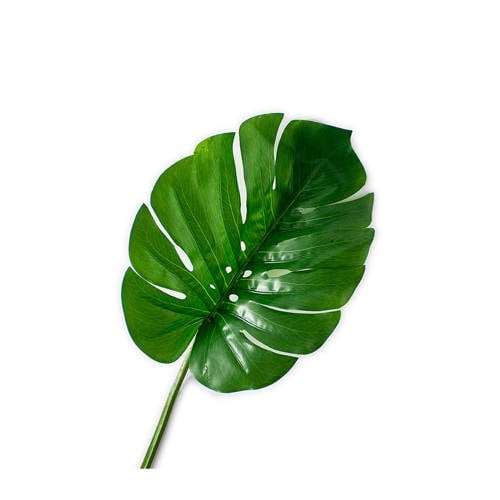 Riviera Maison Kunstplant riviera maison kopen in de aanbieding