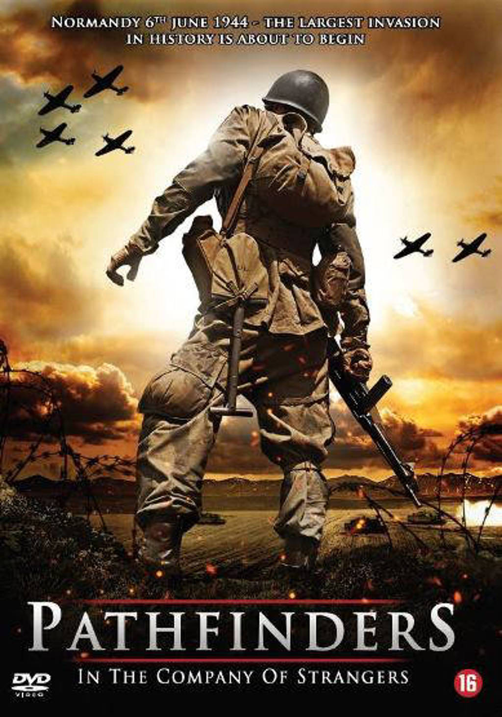 Pathfinders - In the company of strangers (DVD)