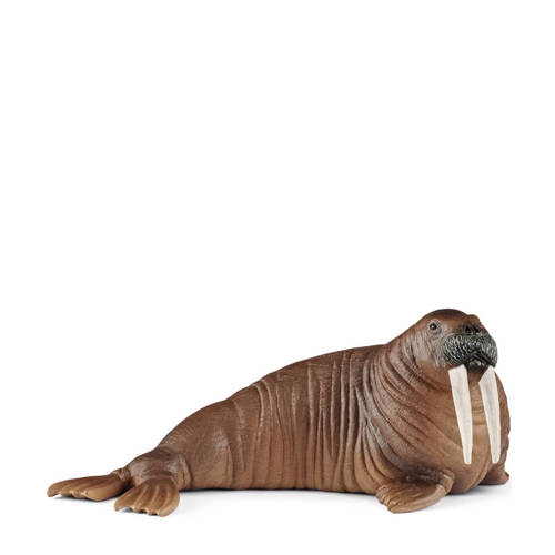 Schleich Wild Life Walrus 14803 schleich kopen in de aanbieding