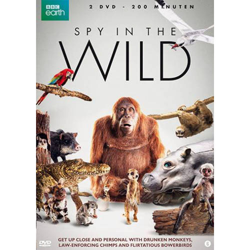 Spy In The Wild Dvd huismerk kopen in de aanbieding Spy In The Wild Dvd huismerk kopen in de aanbieding