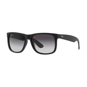 zonnebril 0RB4165 zwart