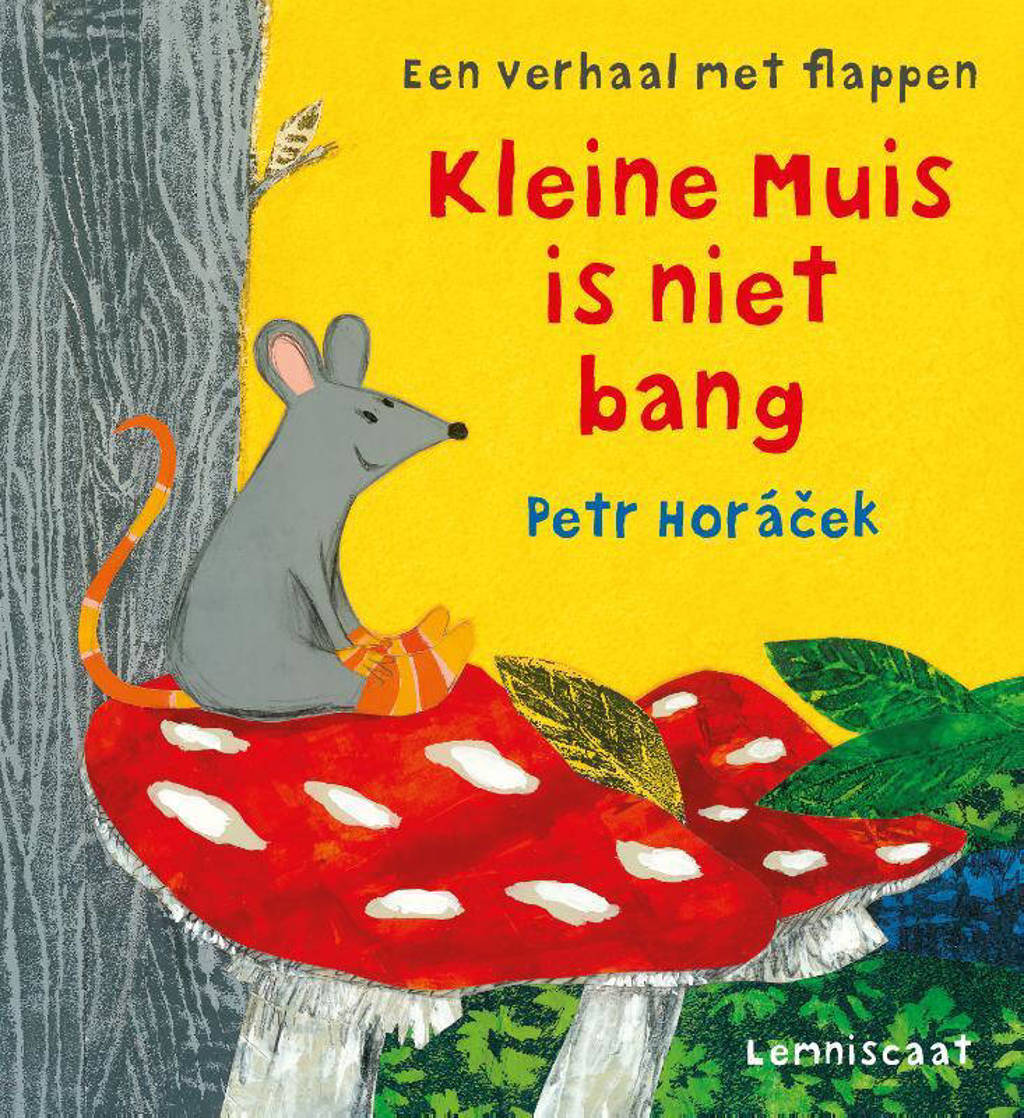 Kleine Muis is niet bang - Petr Horacek