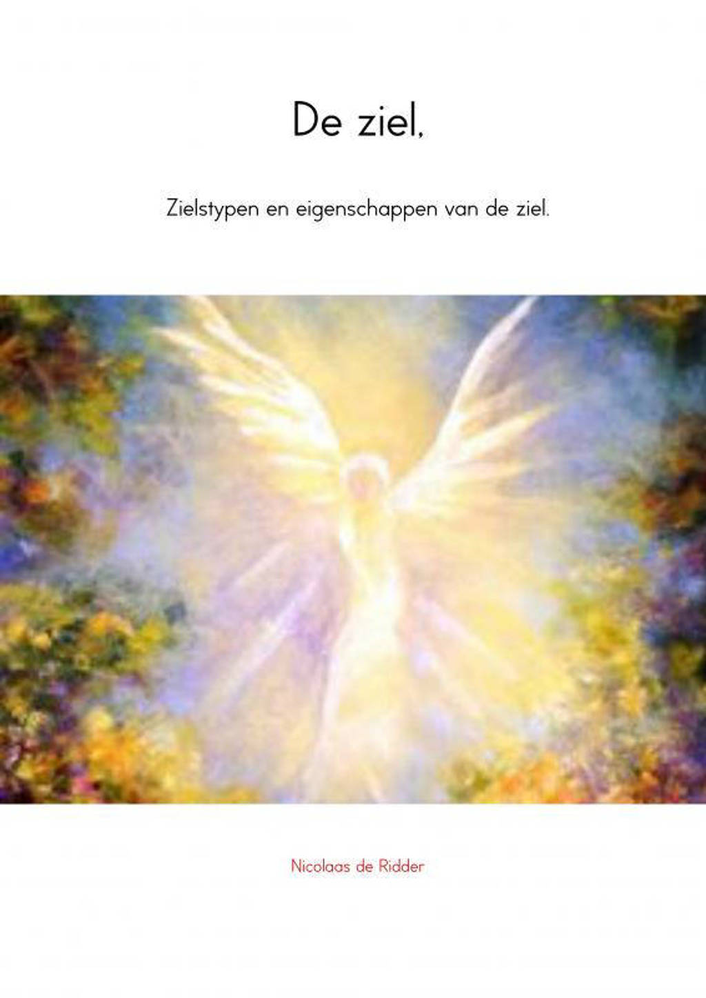 De ziel, - Nicolaas de Ridder