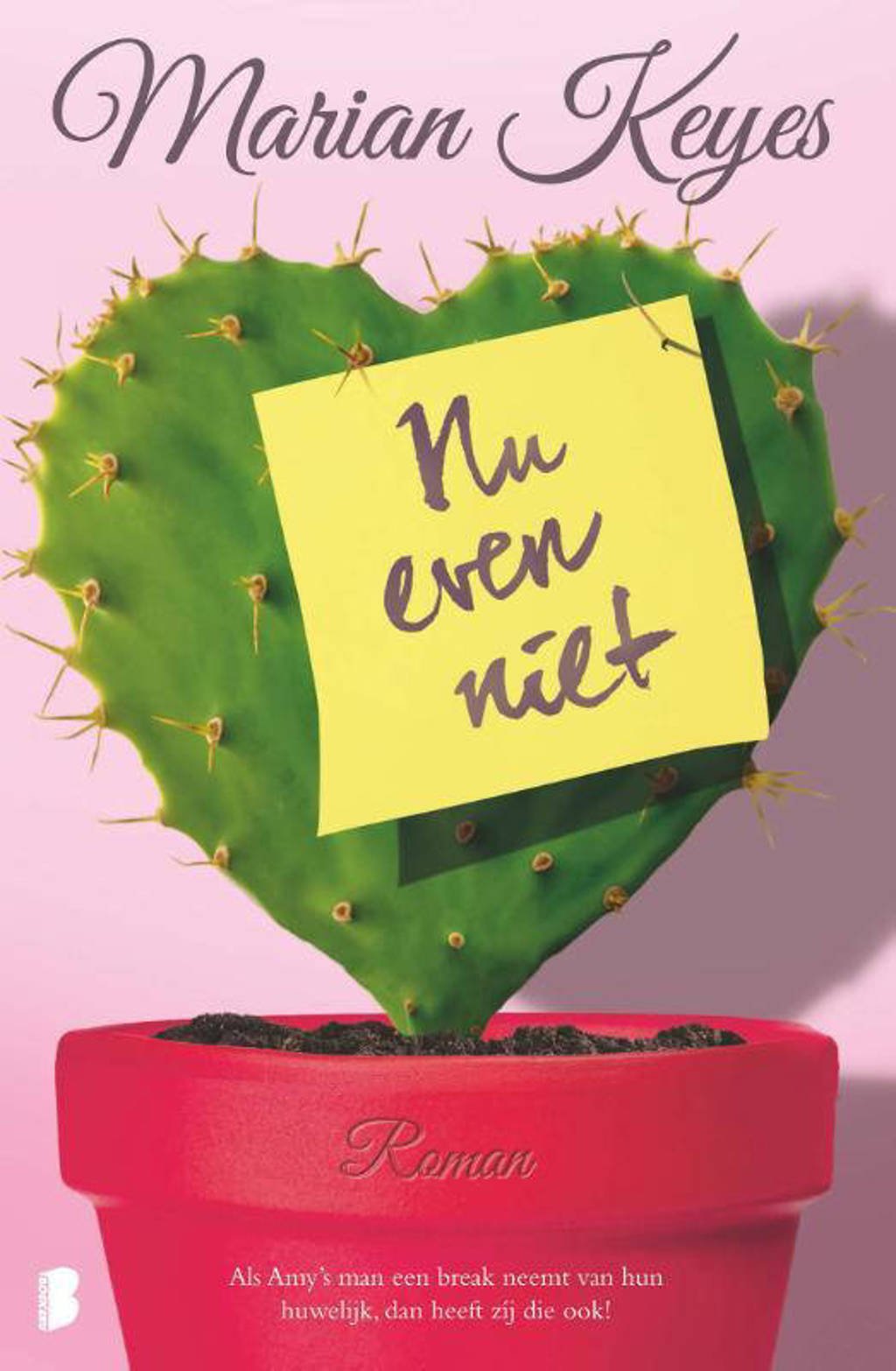 Nu even niet - Marian Keyes