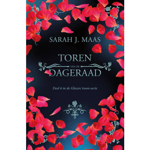 Glazen Troon Toren Van De Dageraad Sarah J Maas huismerk kopen in de aanbieding