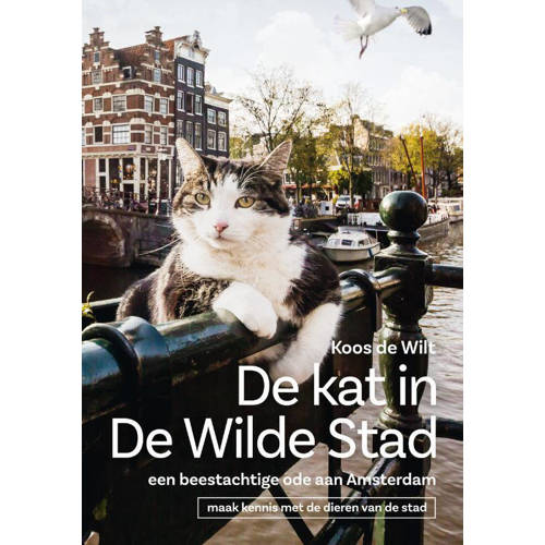 De Kat In De Wilde Stad Koos De Wilt huismerk kopen in de aanbieding