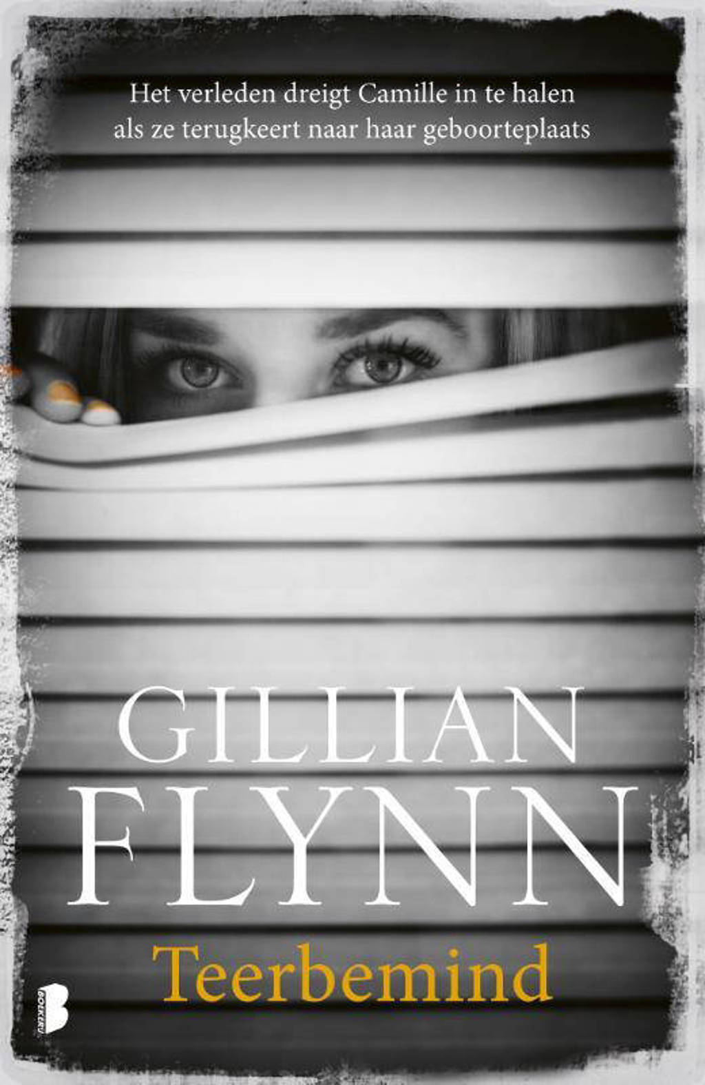 Teerbemind - Gillian Flynn