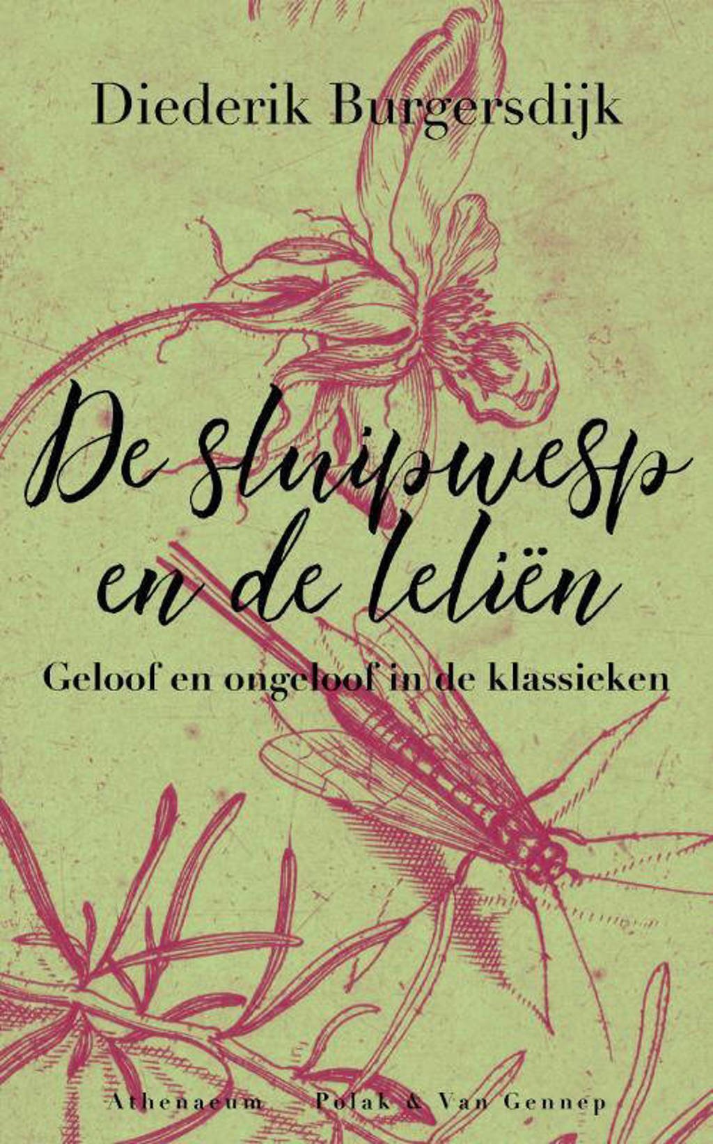 De sluipwesp en de leliën - Diederik Burgersdijk