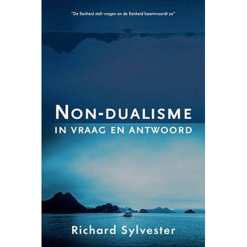 Non Dualisme In Vraag En Antwoord Richard Sylvester huismerk kopen in de aanbieding