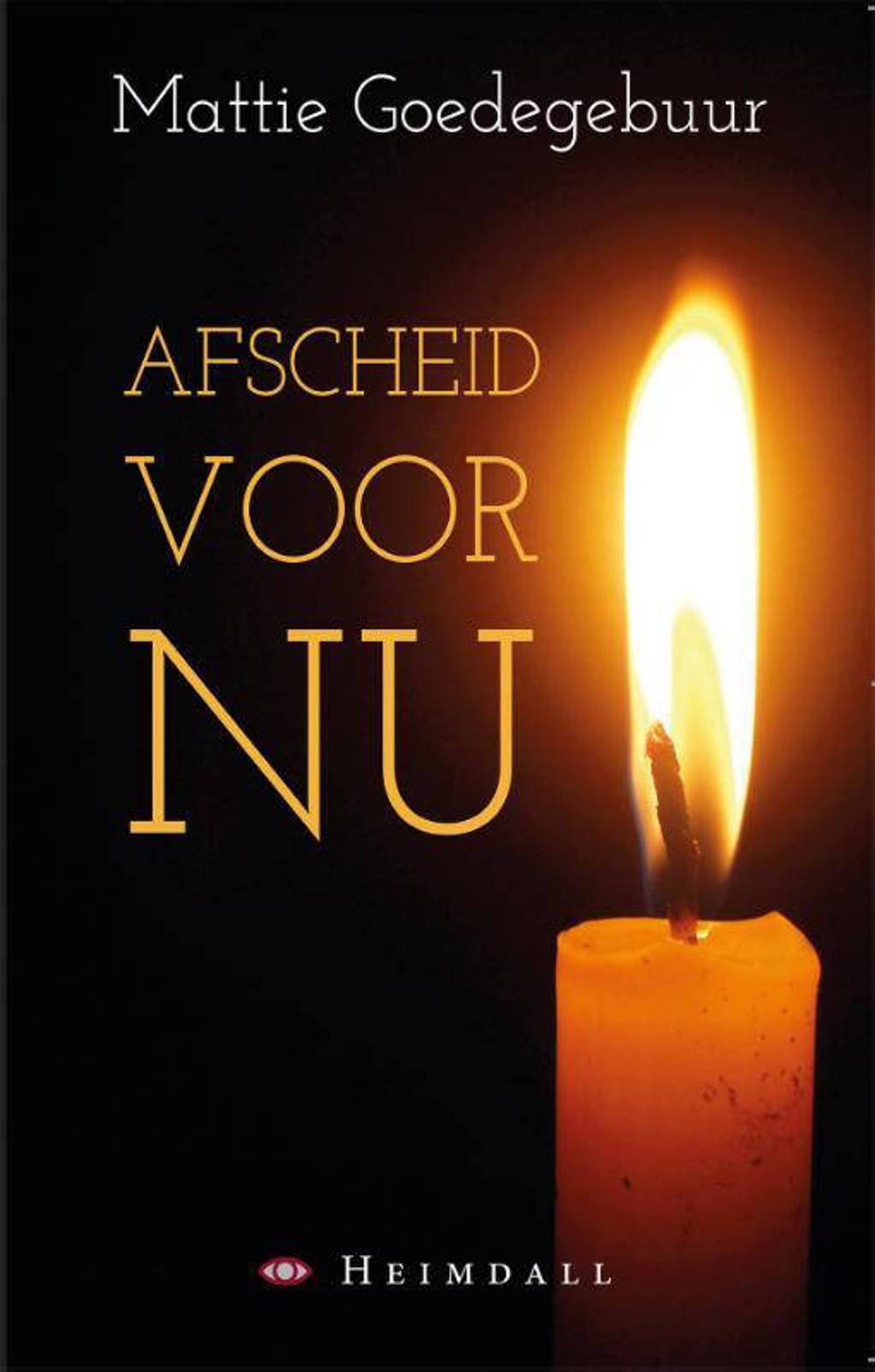 Afscheid voor nu - Mattie Goedegebuur