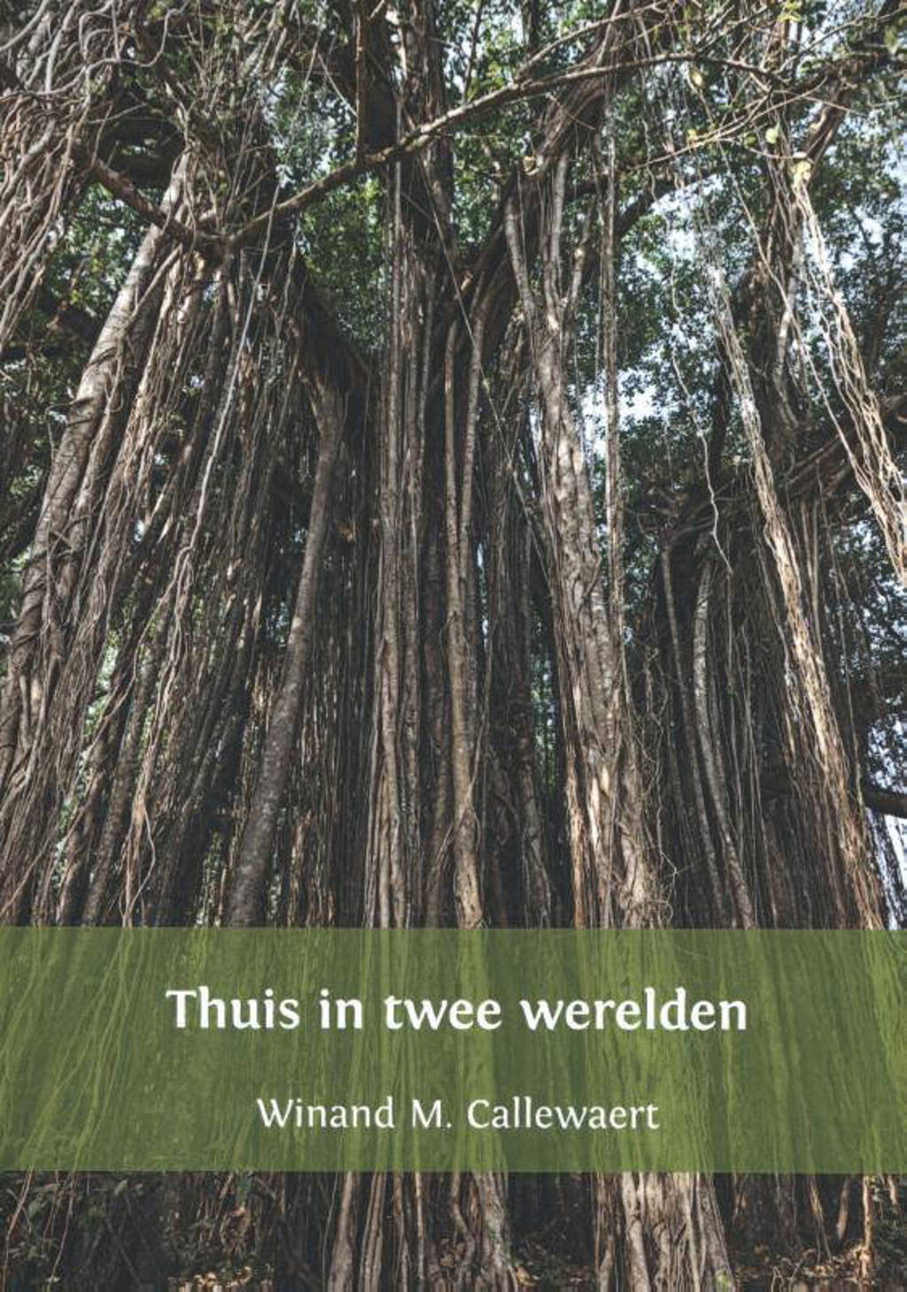 Thuis in twee werelden - Winand M. Callewaert