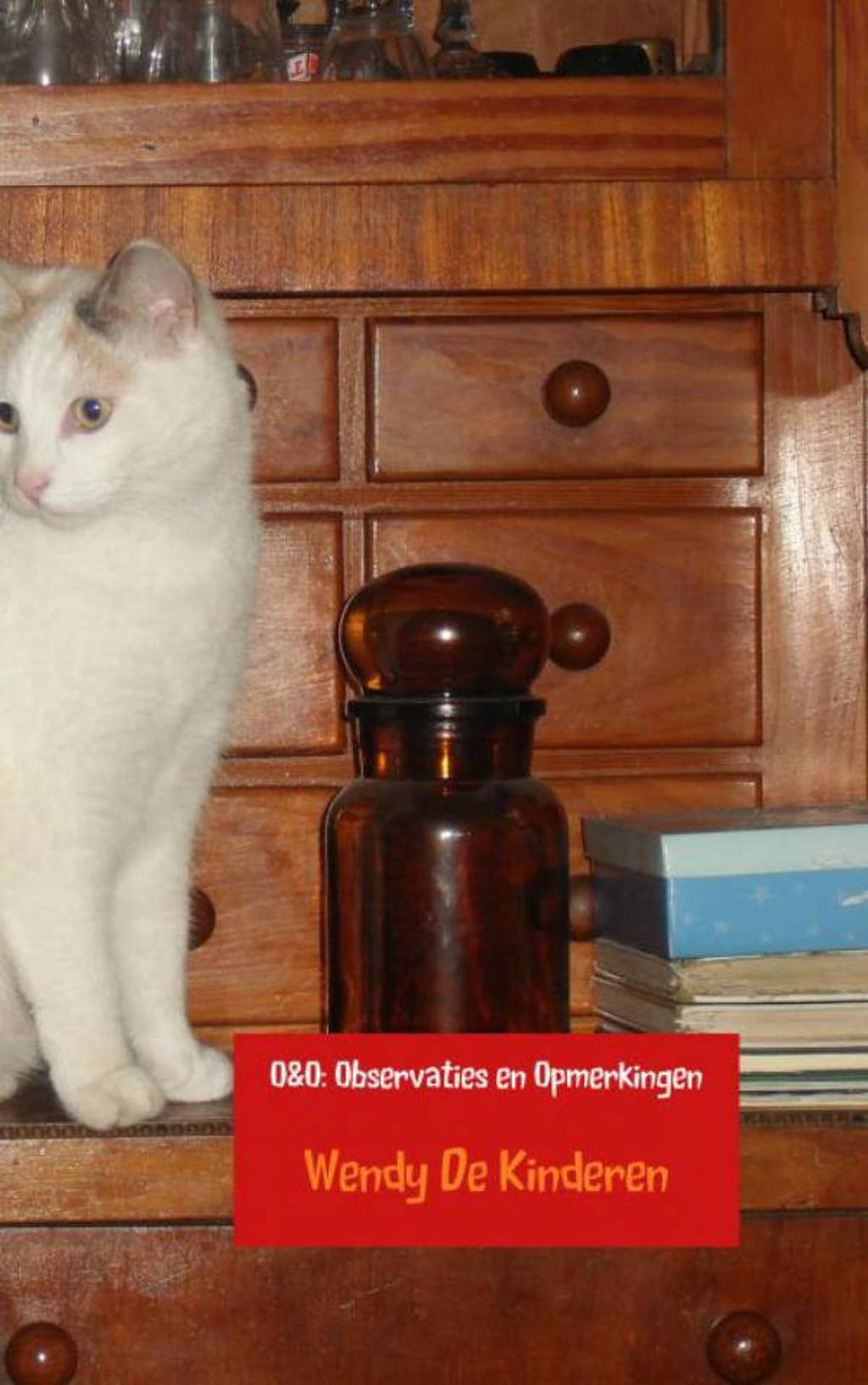 O&O: Observaties en Opmerkingen - Wendy De Kinderen