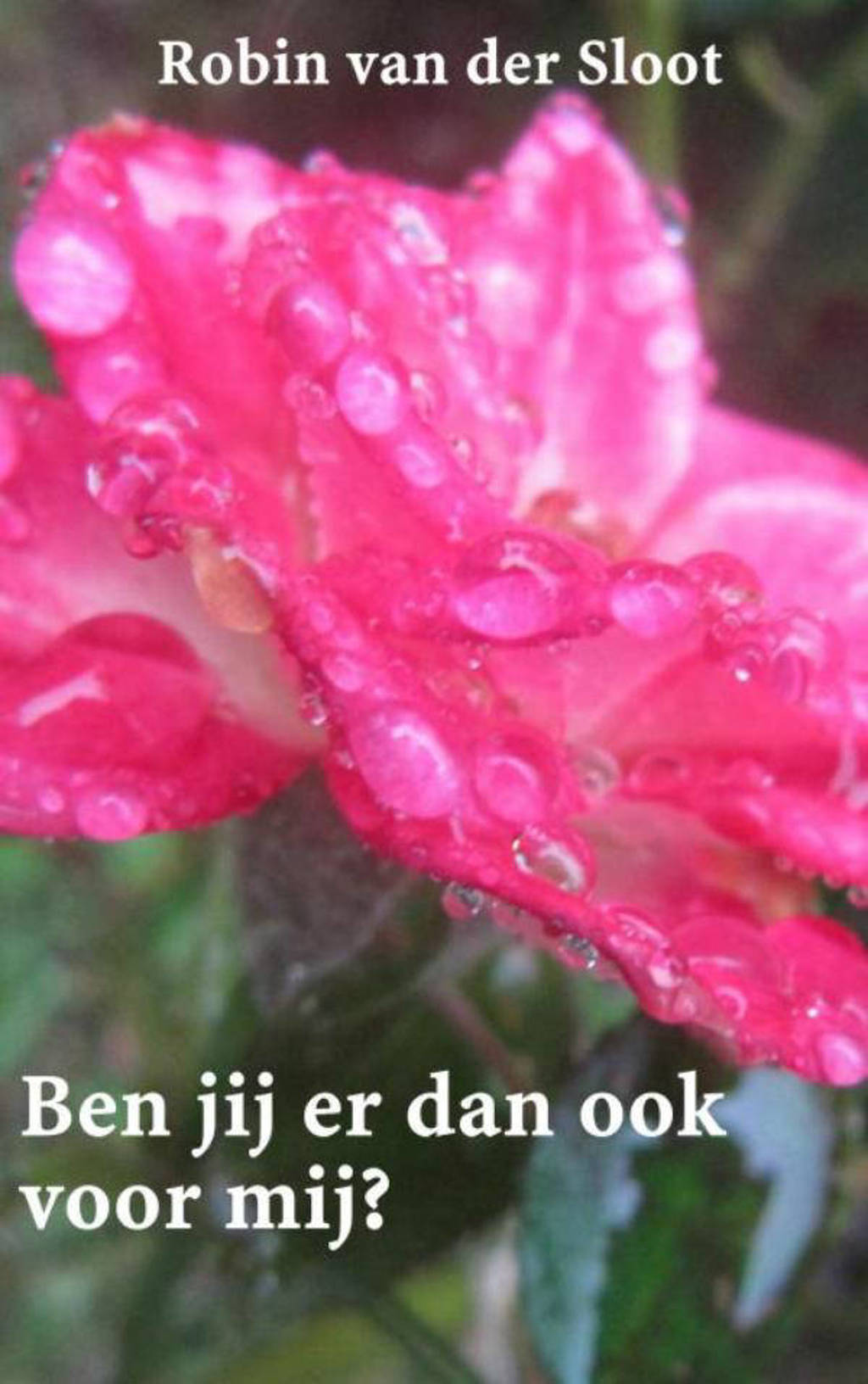 Ben jij er dan ook voor mij? - Robin van der Sloot