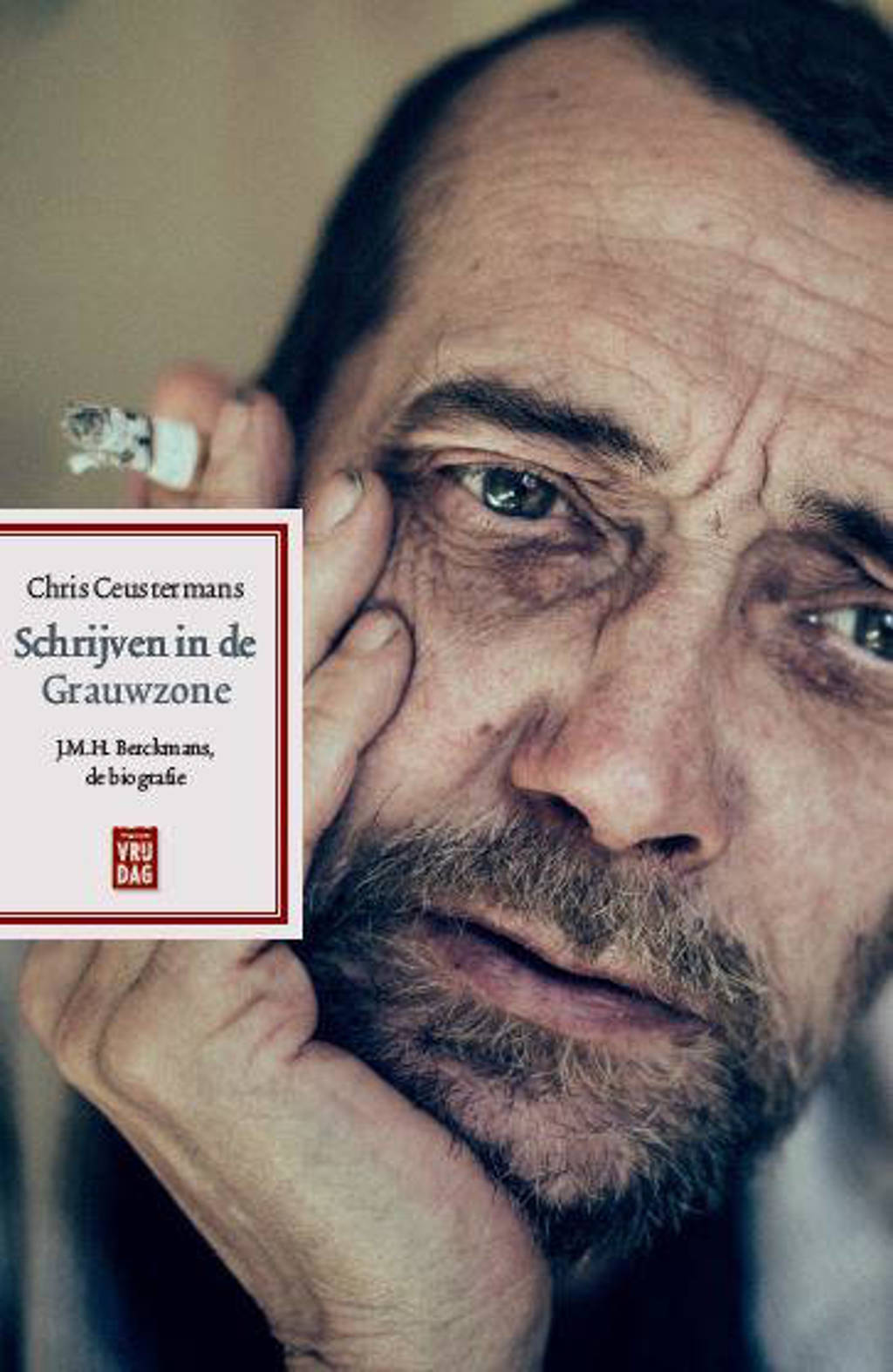 Schrijven in de Grauwzone - Chris Ceustermans