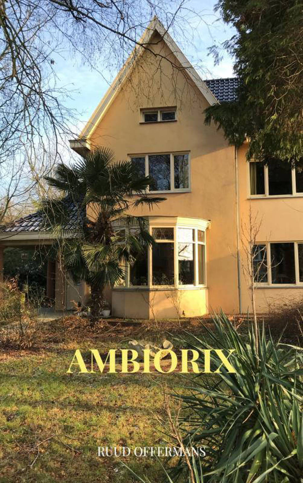 Ambiorix - Ruud Offermans
