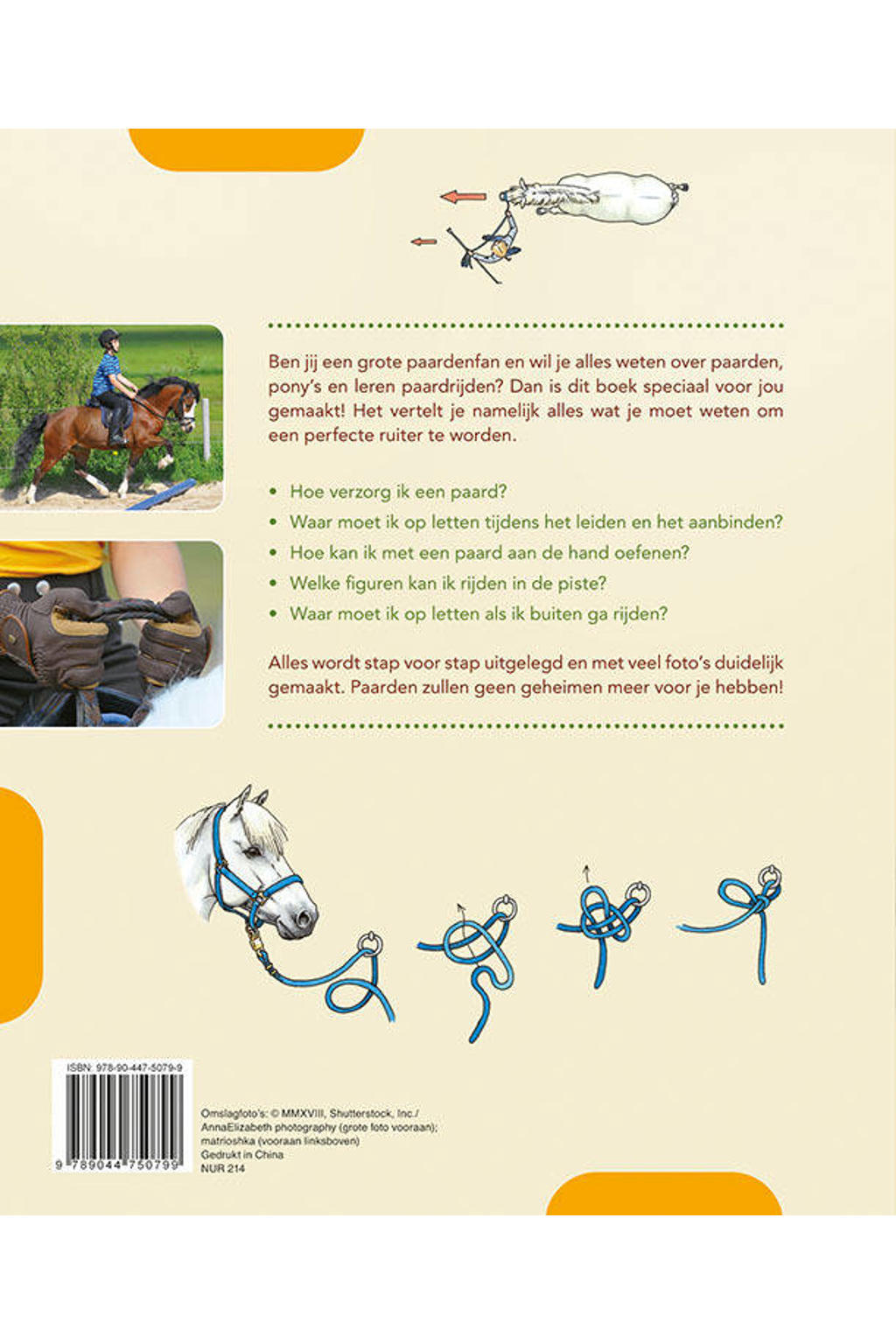 Enkele staartzweep 3 voet / 0,90 meter lengte 8 Vlechten Strengen Gevlochten leer Paardrijden Paardensport Zweep Antislip stevige grip Enkele staartzweep 3 voet / 0,90 meter lengte 8 Vlechten Strengen Gevlochten leer Paardrijden Paardensport Zweep Antislip stevige grip