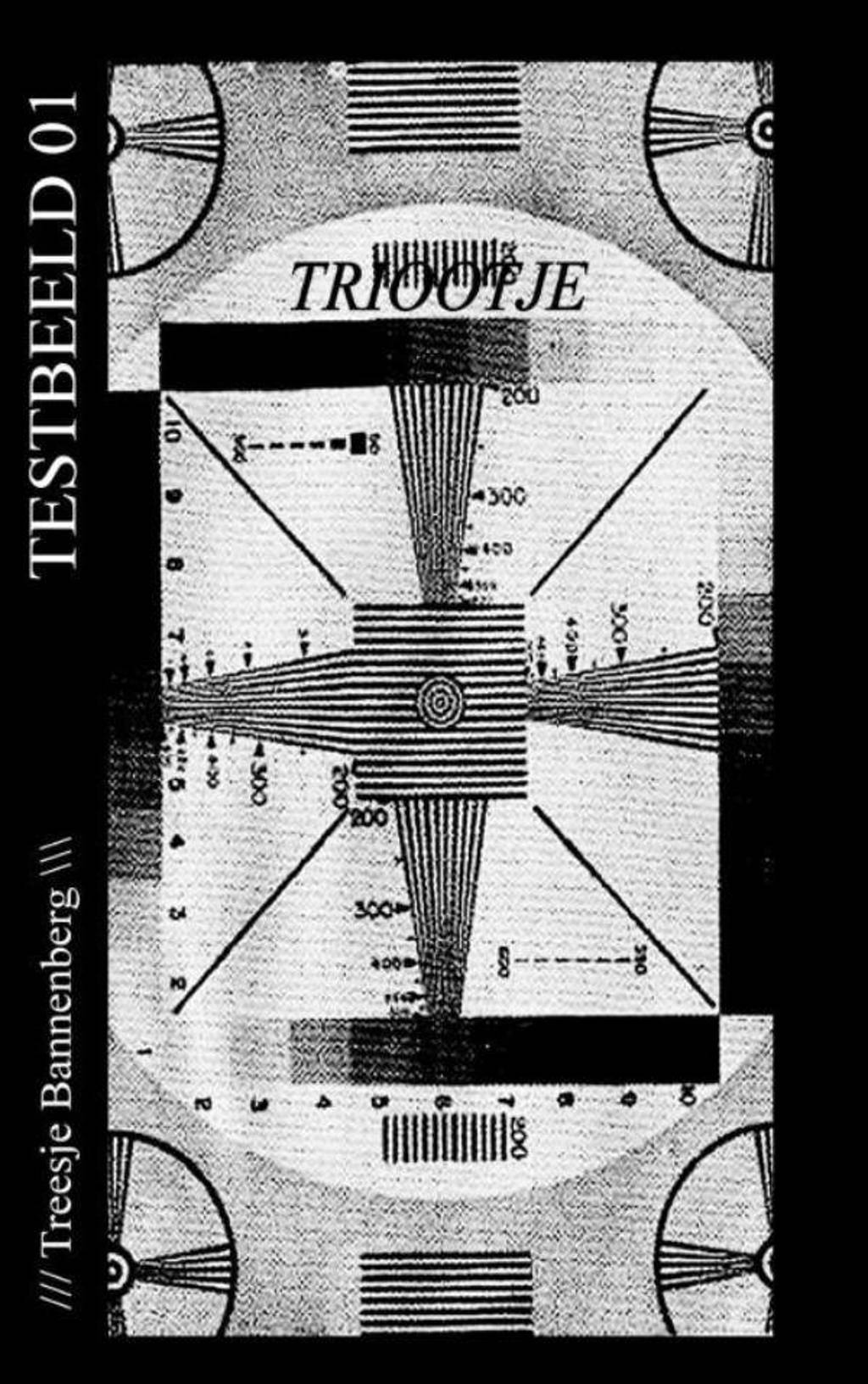 Triootje - Treesje Bannenberg
