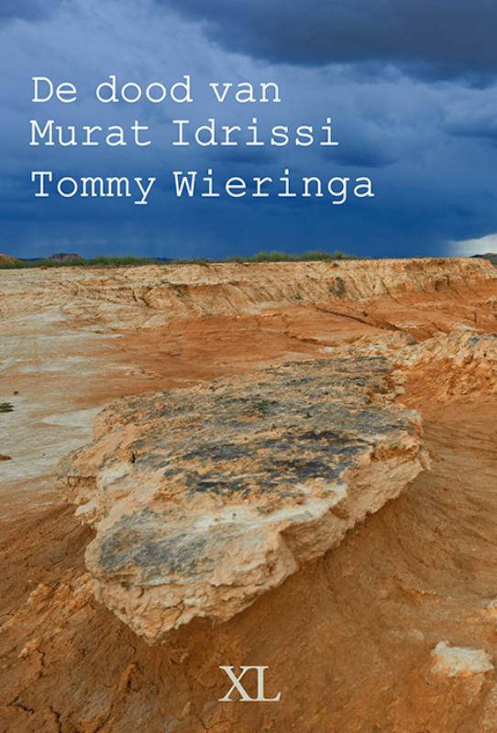 De dood van Murat Idrissi - Tommy Wieringa