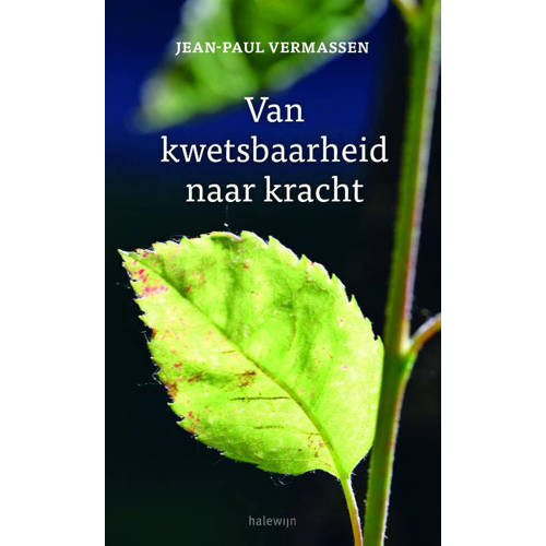 Van Kwetsbaarheid Naar Kracht Jean Paul Vermassen huismerk kopen in de aanbieding Van Kwetsbaarheid Naar Kracht Jean Paul Vermassen huismerk kopen in de aanbieding