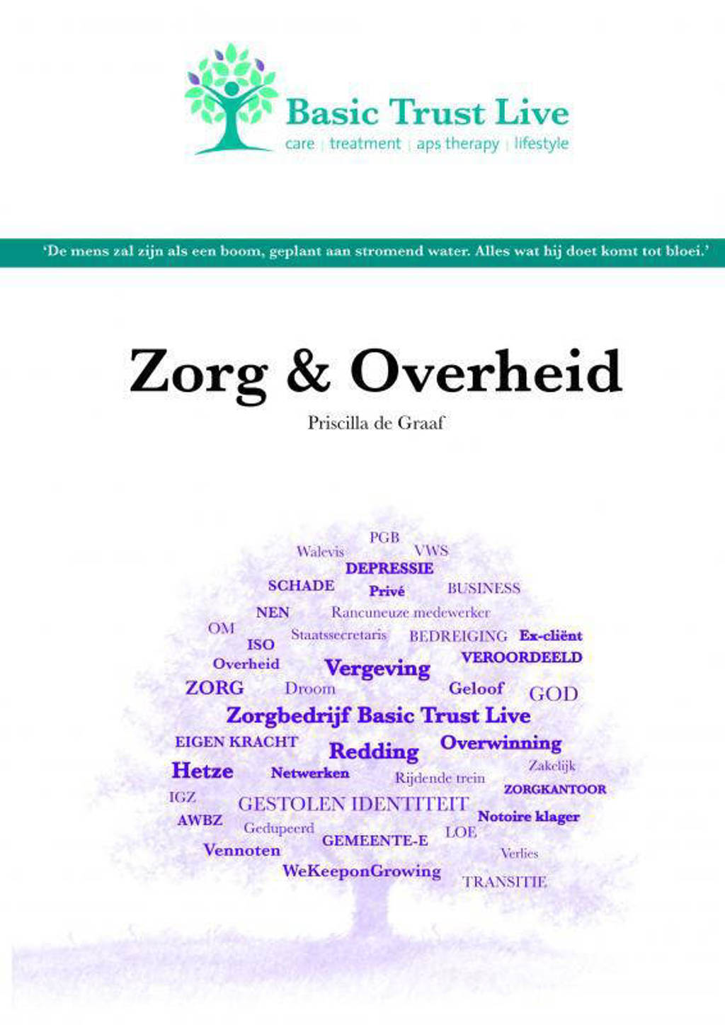 Zorg en Overheid - Priscilla de Graaf