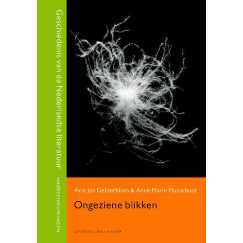 Geschiedenis Van De Nederlandse Literatuur Ongeziene Blikken Arie Jan Gelderblom En Anne Marie Musschoot huismerk kopen in de aanbieding Geschiedenis Van De Nederlandse Literatuur Ongeziene Blikken Arie Jan Gelderblom En Anne Marie Musschoot huismerk kopen in de aanbieding