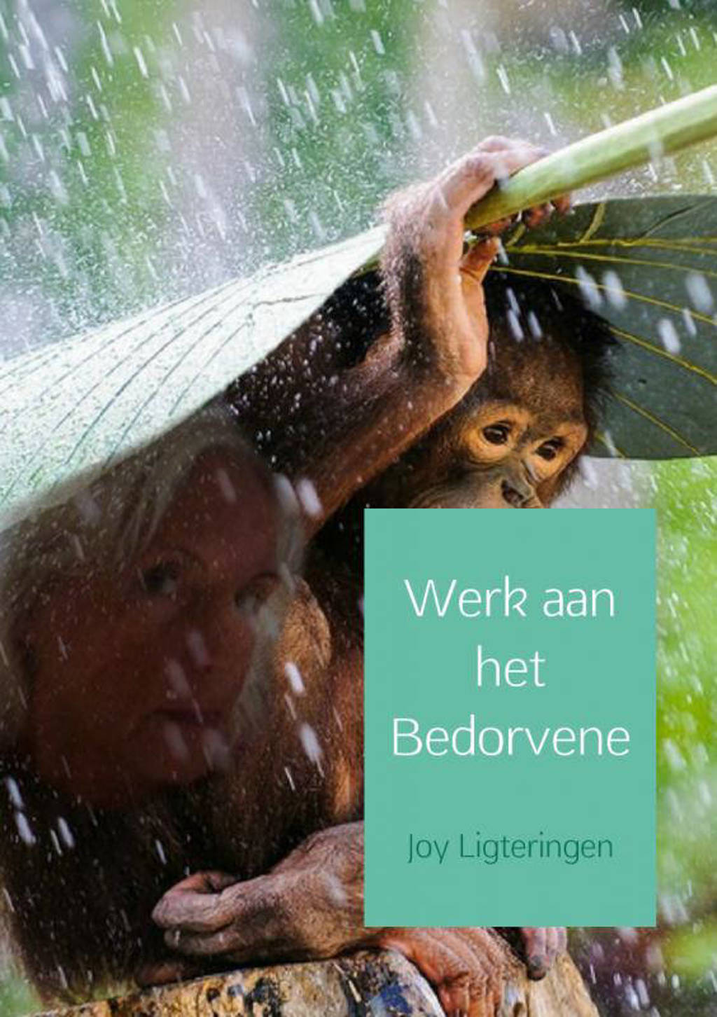 Werk aan het bedorvene - Joy Ligteringen