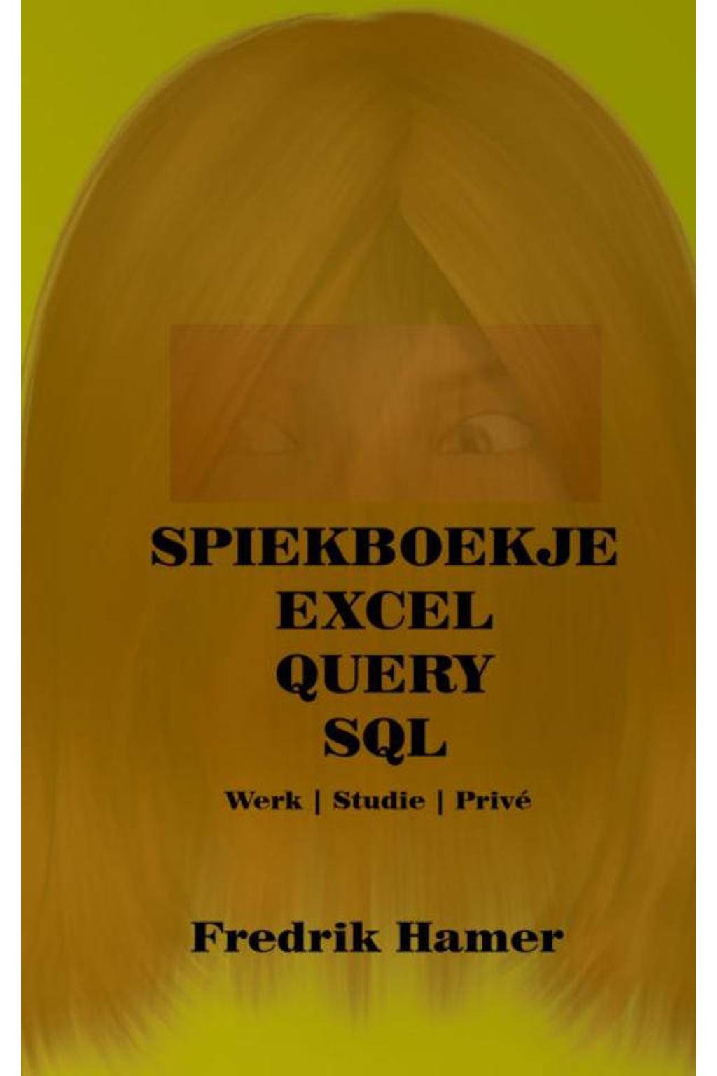 Spiekboekje Excel Query SQL - Fredrik Hamer