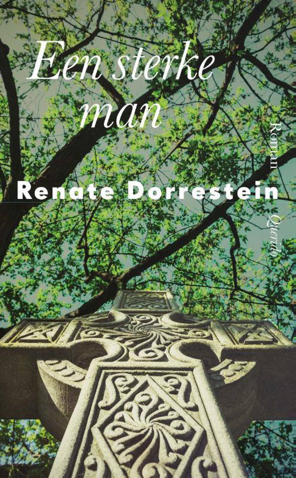 Een sterke man - Renate Dorrestein