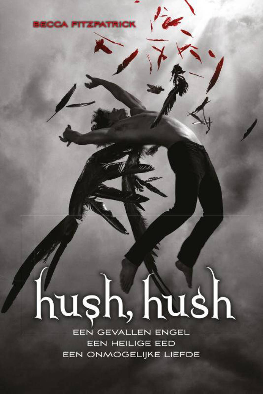 Hush hush saga: Hush, hush - Becca Fitzpatrick