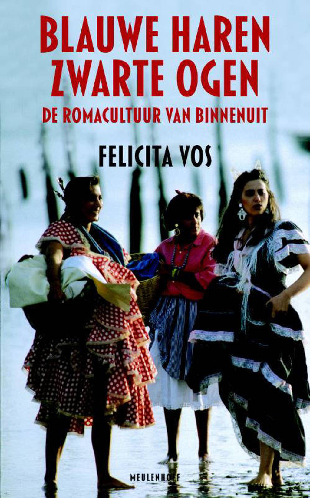 Blauwe haren zwarte ogen - Felicita Vos