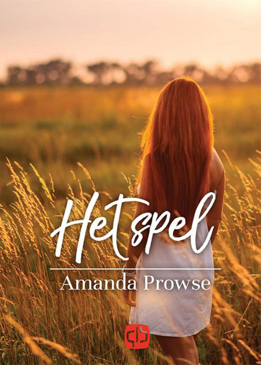 Het spel - Amanda Prowse